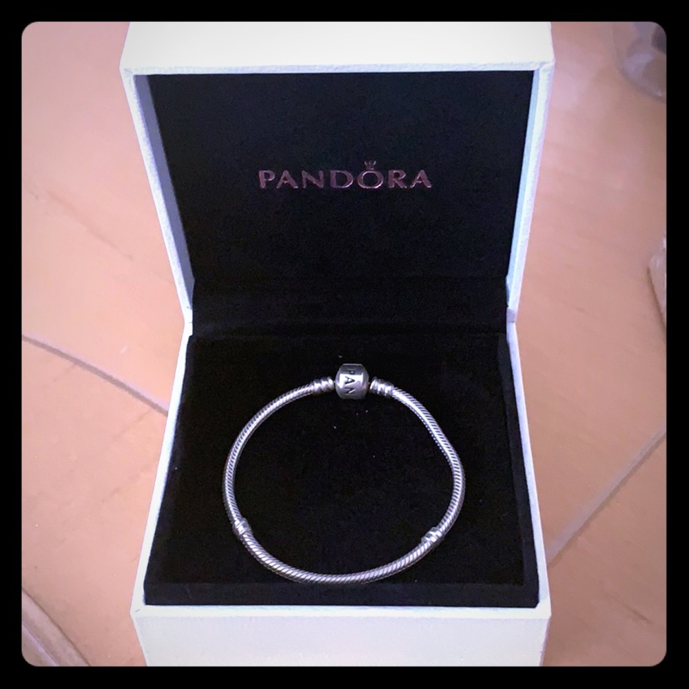 Silver pandora bracelet